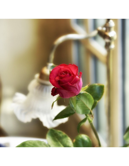 BONS CADEAU A LA CARTE