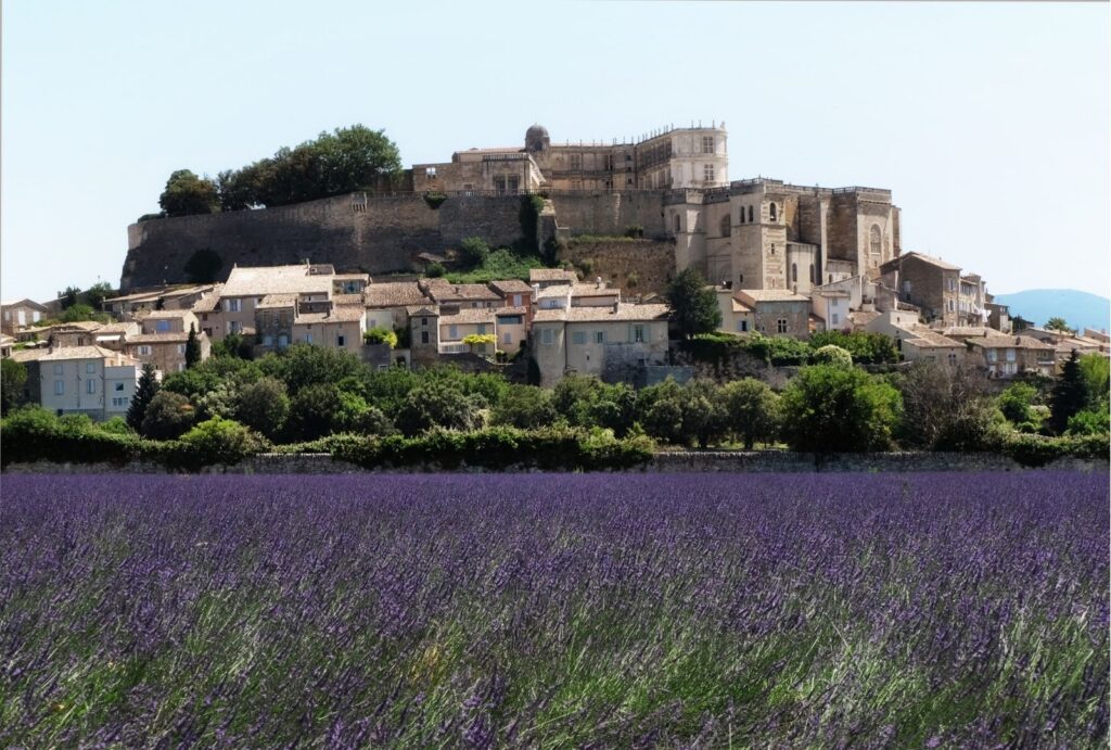 Lavande Grignan