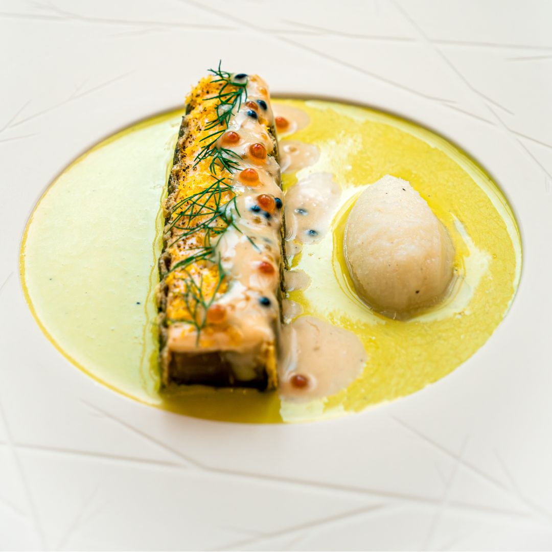 Plat CDP Gastro carree