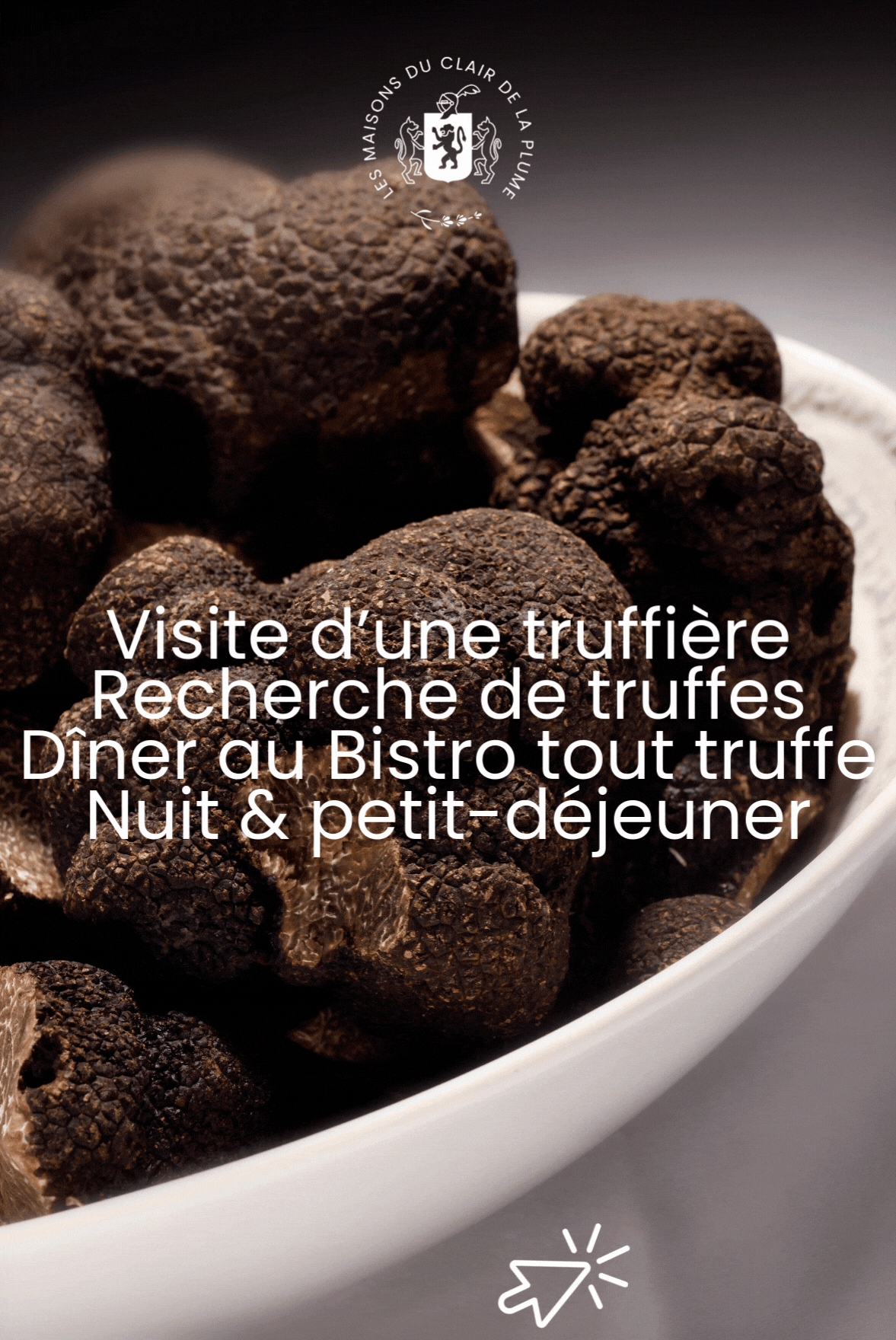 POP UP SEJOURS TRUFFES